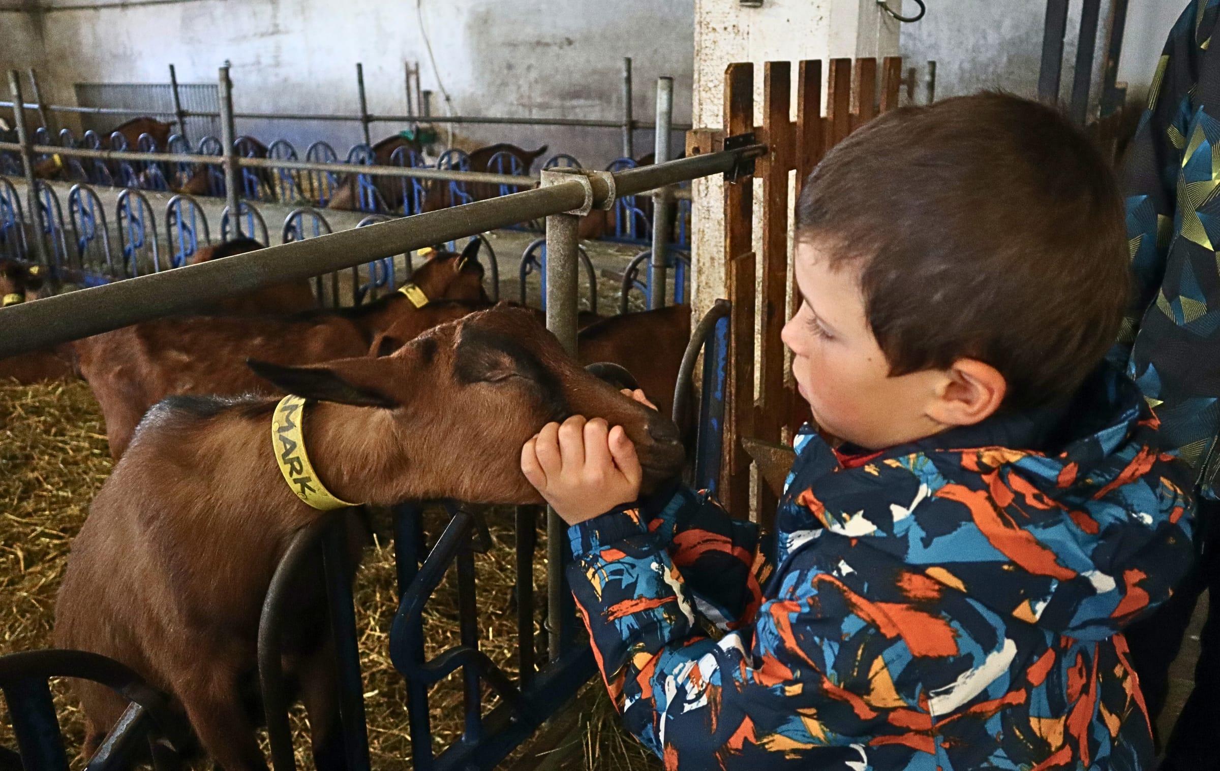 Balade Gourmande - Visite de la ferme